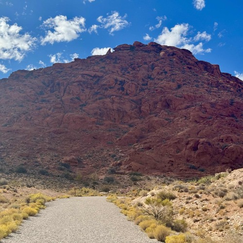 String Quartet in A - 1