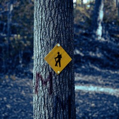 New Paths