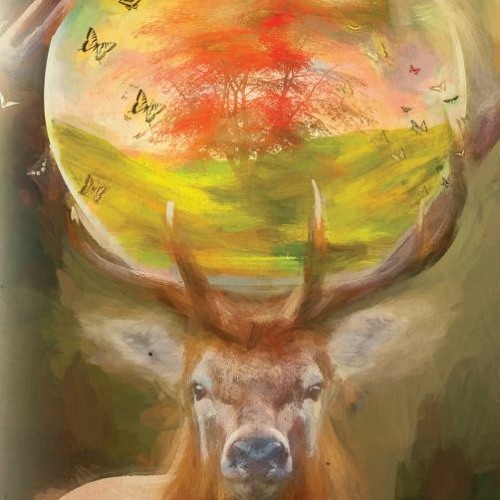 Animals on an Island