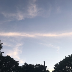 the lover/loser (prod. wurlishmouk)