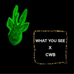 #52 : à Performissima