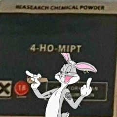 Bugs Bunny (prod.Plut0)