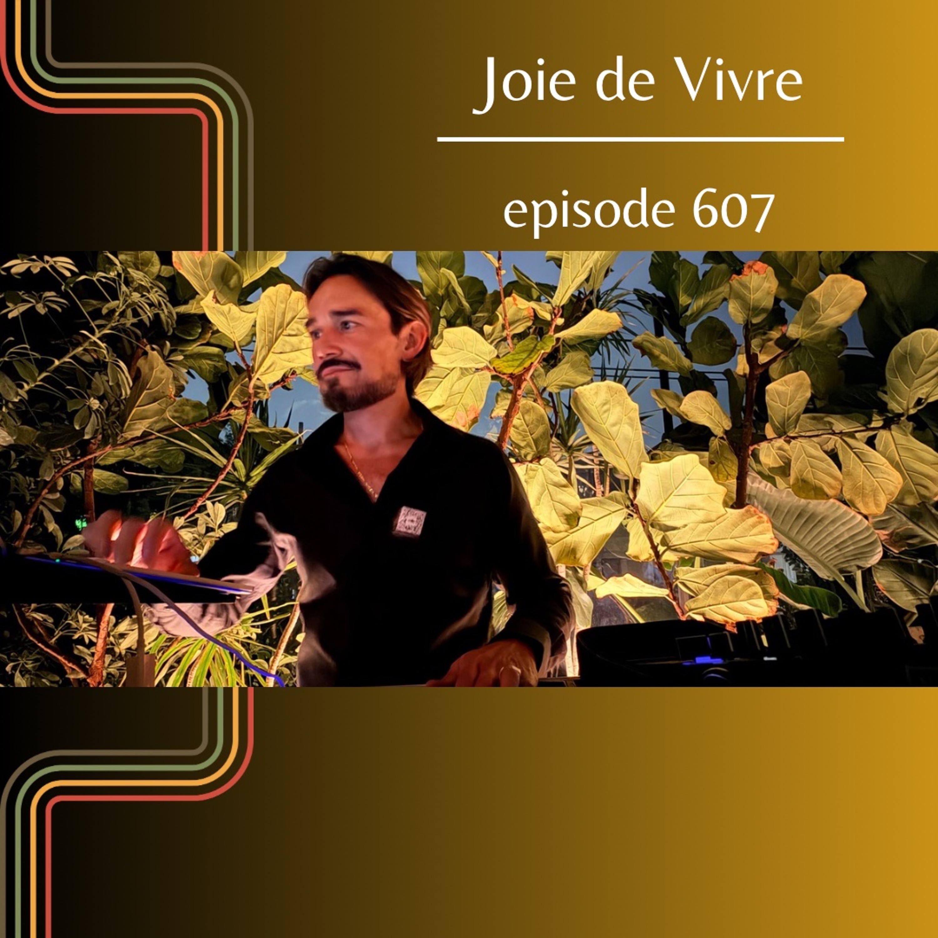 Joie de Vivre - Episode 607 episode artwork