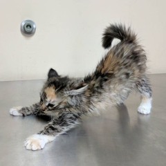 electronic experimental soundpiece.m4a