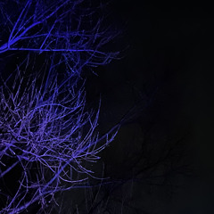 SNARE. - Mindhunter (M) freedownload