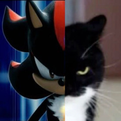 t sonic jss shadow