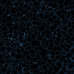 PS021 - Pannotia - Cell