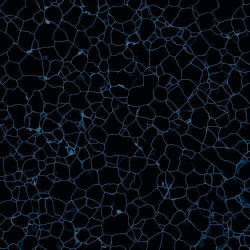PS021 - Pannotia - Cell