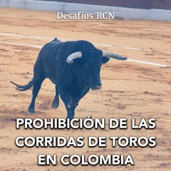 Prohibición de las corridas de toros en Colombia, un cambio histórico | Desafíos RCN-Javeriana