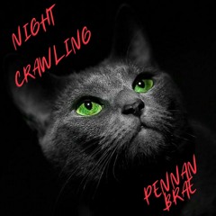 Night Crawling - Pennan Brae - Planted