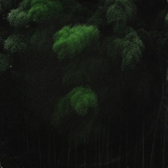 Yoshihiro Sawasaki: Peach Time