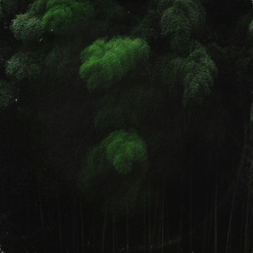 Yoshihiro Sawasaki: Peach Time