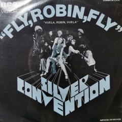Silver Convention - Fly Robin Fly ( Dm Edit )