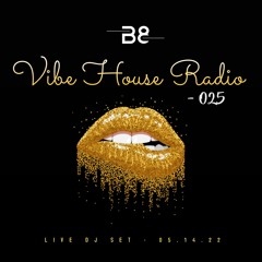 Vibe House Radio 025 - 05.14.22