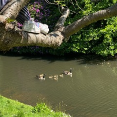 Sé que estás trabajando