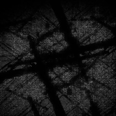 mystery (prod.thxi)