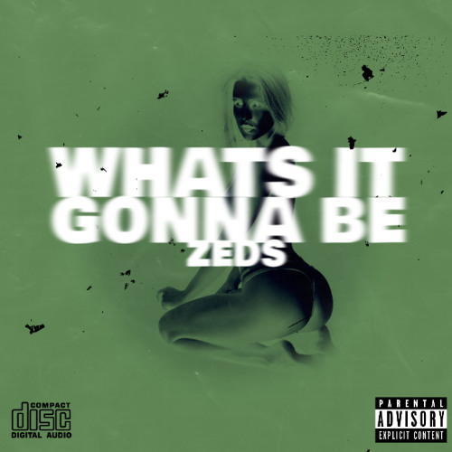 Zeds - Whats It Gonna Be (PREVIEW)