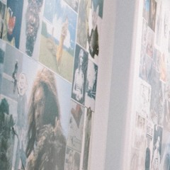 charmed, im sure (acoustic demo)