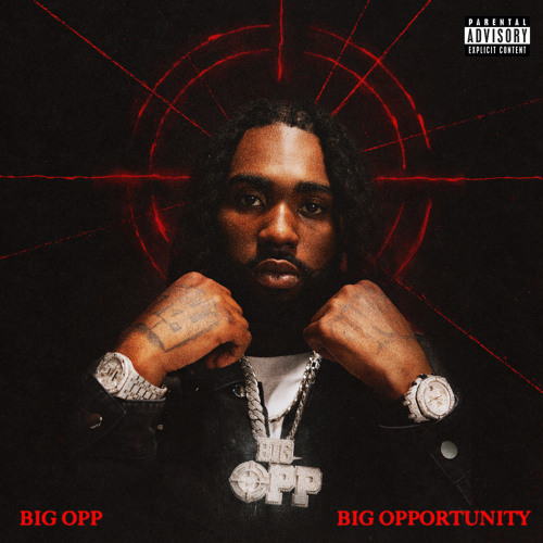 Stream BACKSEAT (feat. G Herbo) by Big Opp | Listen online for