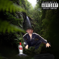 МИР ГЛАЗАМИ СОЛОВЫХА