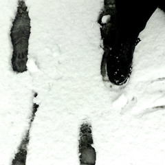 The arms of oblivion ( which is a white snake)