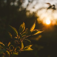 Lovely [FL STUDIO MOBILE]