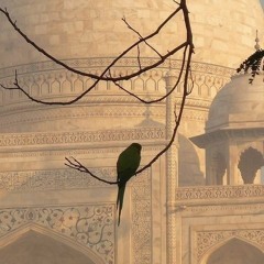 لُـذْ باﻹلهِ وﻻ تَلُـذْ بِسِوَاهُ