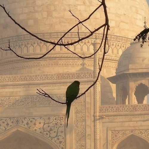 لُـذْ باﻹلهِ وﻻ تَلُـذْ بِسِوَاهُ