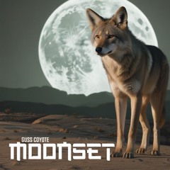 Moonset Ronin.WAV