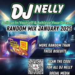 DJ Nelly Random Mix Jan 2025