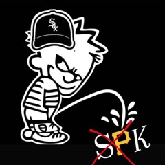 SPK BKASHIN(feat.tk_assass1n)