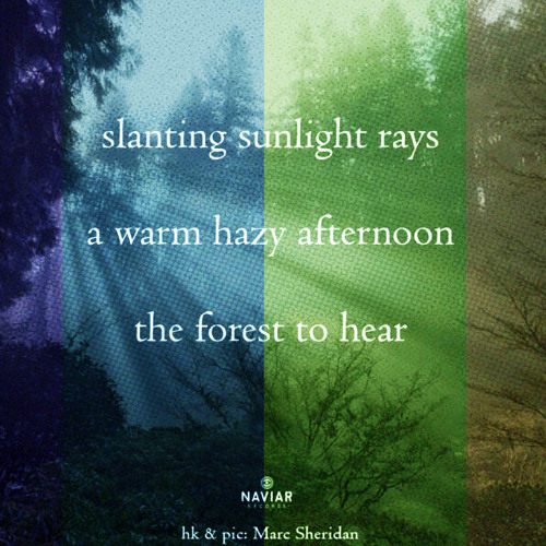 A forest to hear (naviarhaiku592)
