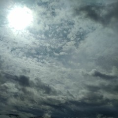 Not sure what to name this