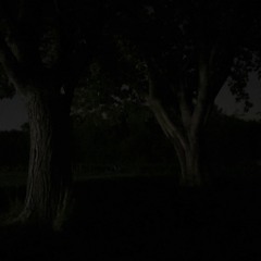 Drugs p. (everydaysinner)