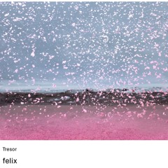 felix @ Tresor Berlin 04.06.2025 ┃Opening [Live Cut]