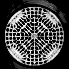 BEFORE I LOSE MY MIND