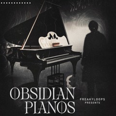 FL253 - Obsidian Pianos