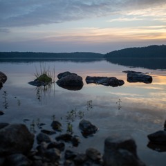 AMBIENCE WILD Loon Call, Evening, Lac Du Poisson Blanc, Canada, LOM MikroUsi & Sony A10