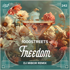 Freedom (DJ Mibor Remix Extended) [feat. Raphael]