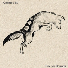 Coyote : Deeper Space Mix for Imaginative Soundscapes by Deeper Sounds - August 2025
