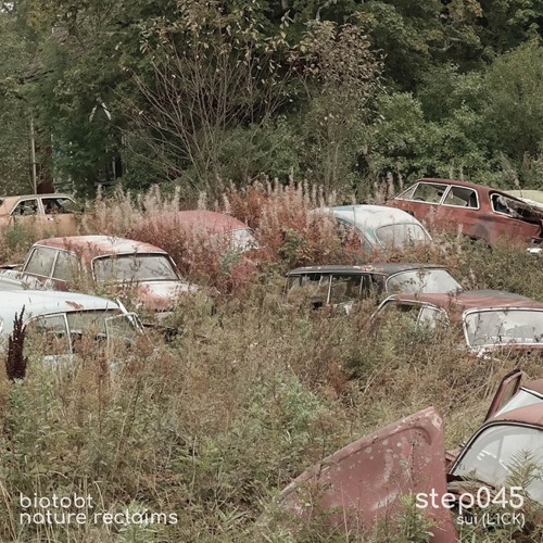 step045 by Sui (L1CK)