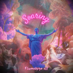 Soaring