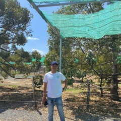 New Nonstop 2020 by Pheng Lody