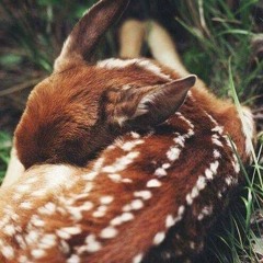 لا أدري -سلسبيل أبو زيد