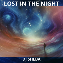 Lost in the Night