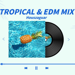 Tropical & EDM MIX set