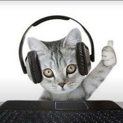 meowmeowmeowmeow (prod. jaechii)