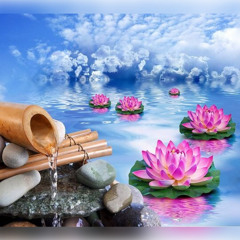 Yoga & Meditation