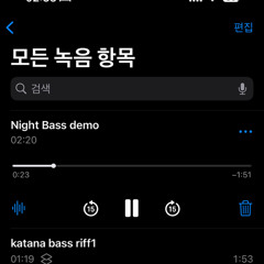 Night Bass demo.m4a