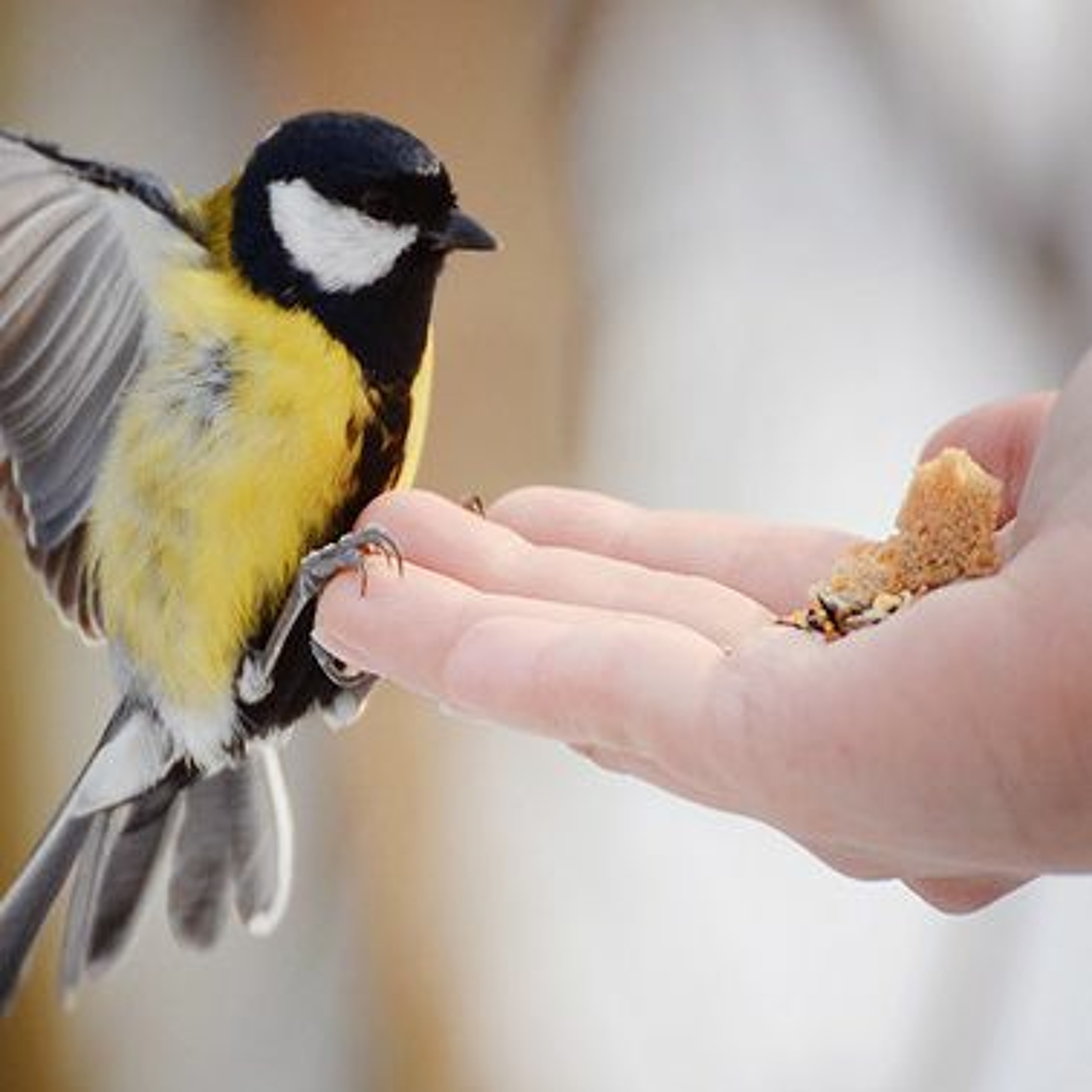 فليس منا !! || مؤثر